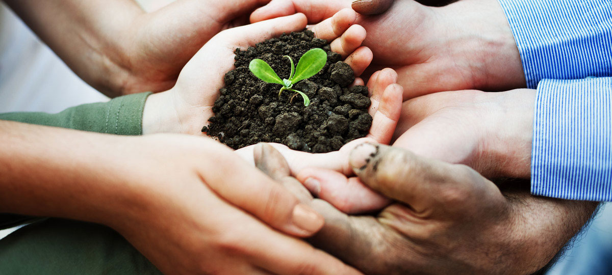 6.Sustainability
