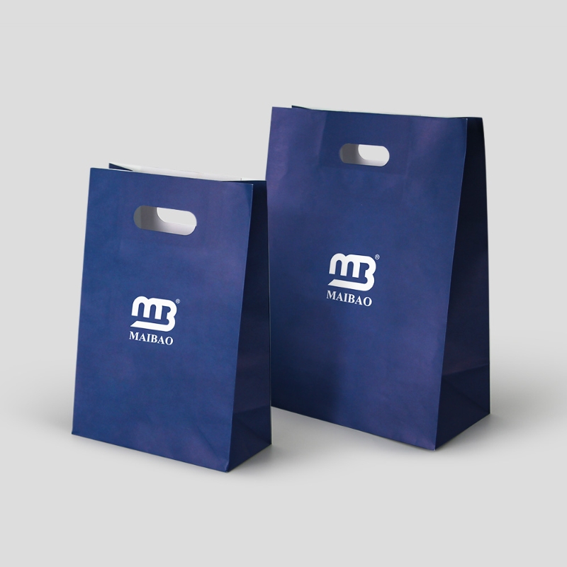 paper bag_WH_800x800px