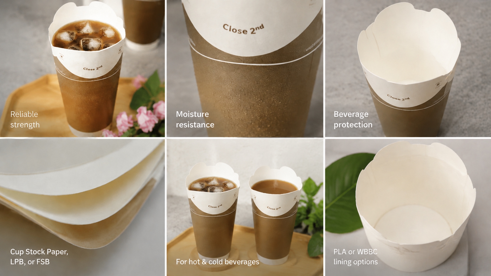 Elegant Butterfly-Style Disposable Cups for Brands-2